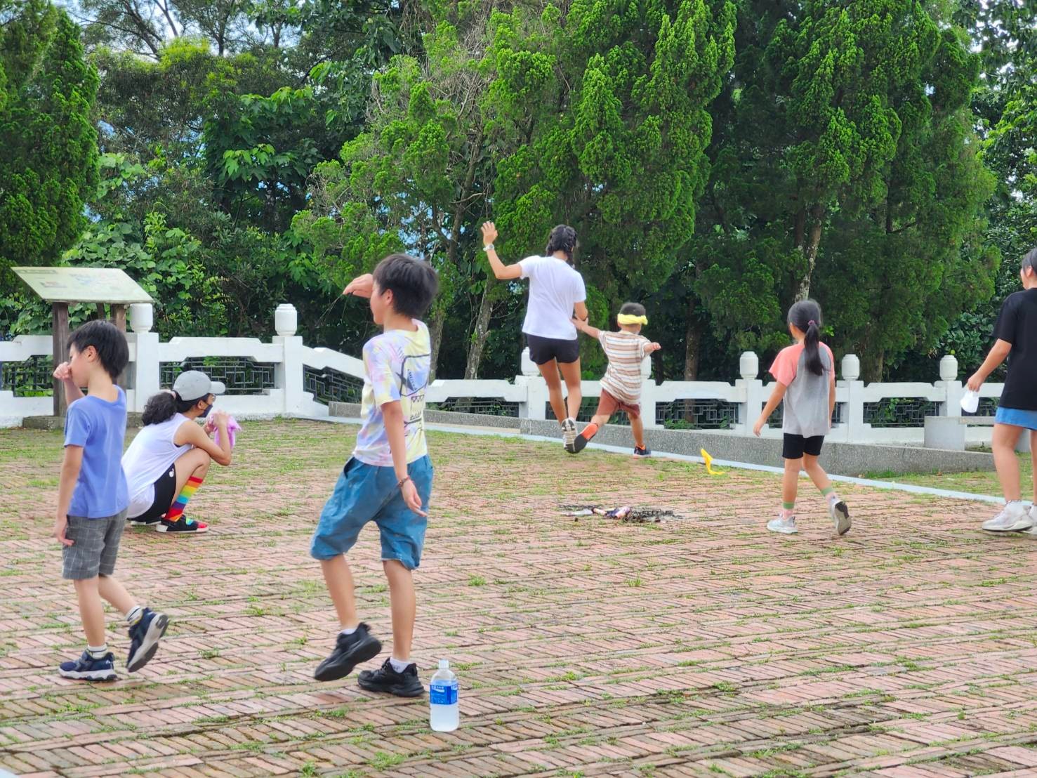 鳶山登山步道，是三峽人的好朋友，從小到大一定都會走過幾次。對孩子來說這不僅是一項體力的挑戰，更是一個激勵孩子們突破自我的機會。透過這次的活動，我們希望讓孩子們在大自然中學習成長，探索更多的可能性，並獲得戶外教育、自我挑戰以及生活技能學習的經驗。對於書屋來說，爬山挑戰不僅是一場體驗活動，更是一次次生命教育的實踐。我們希望透過這樣的活動，讓每一位孩子都能勇於挑戰自我，突破內心的限制，擁抱更多的可能性。 | 小草書屋∞青草職能學苑